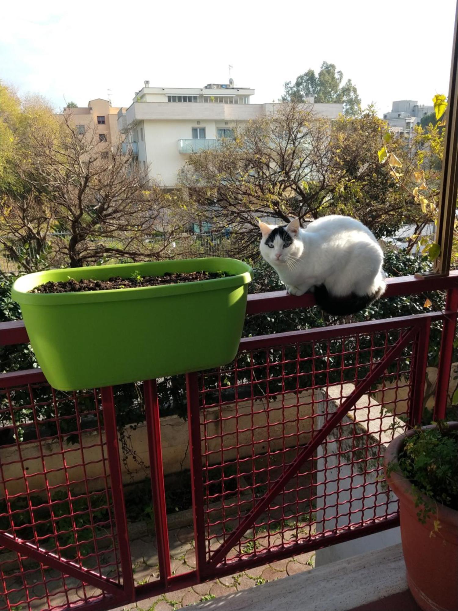 Intero Appartamento Con Giardino E Parcheggio Рим Екстериор снимка
